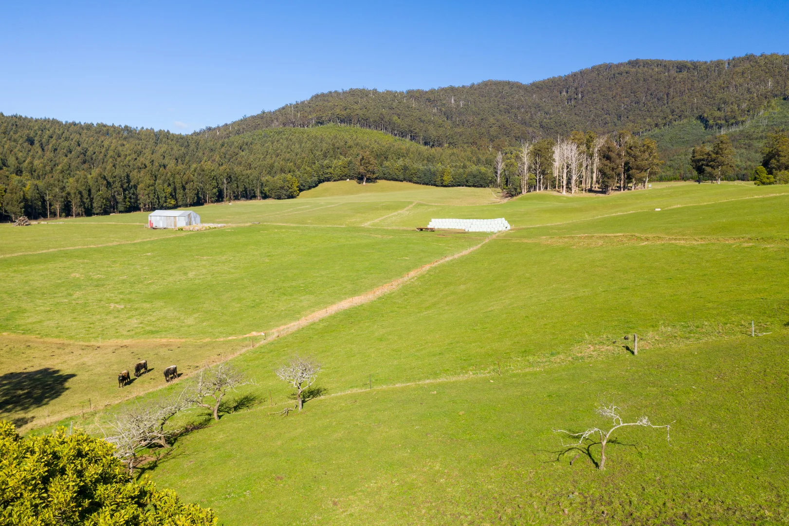 Additional image 17 of Alberton TAS 7263