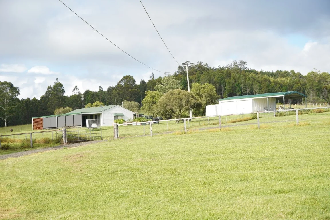 Additional image 18 of 1023 Iron Pot Creek Rd, Kyogle NSW 2474