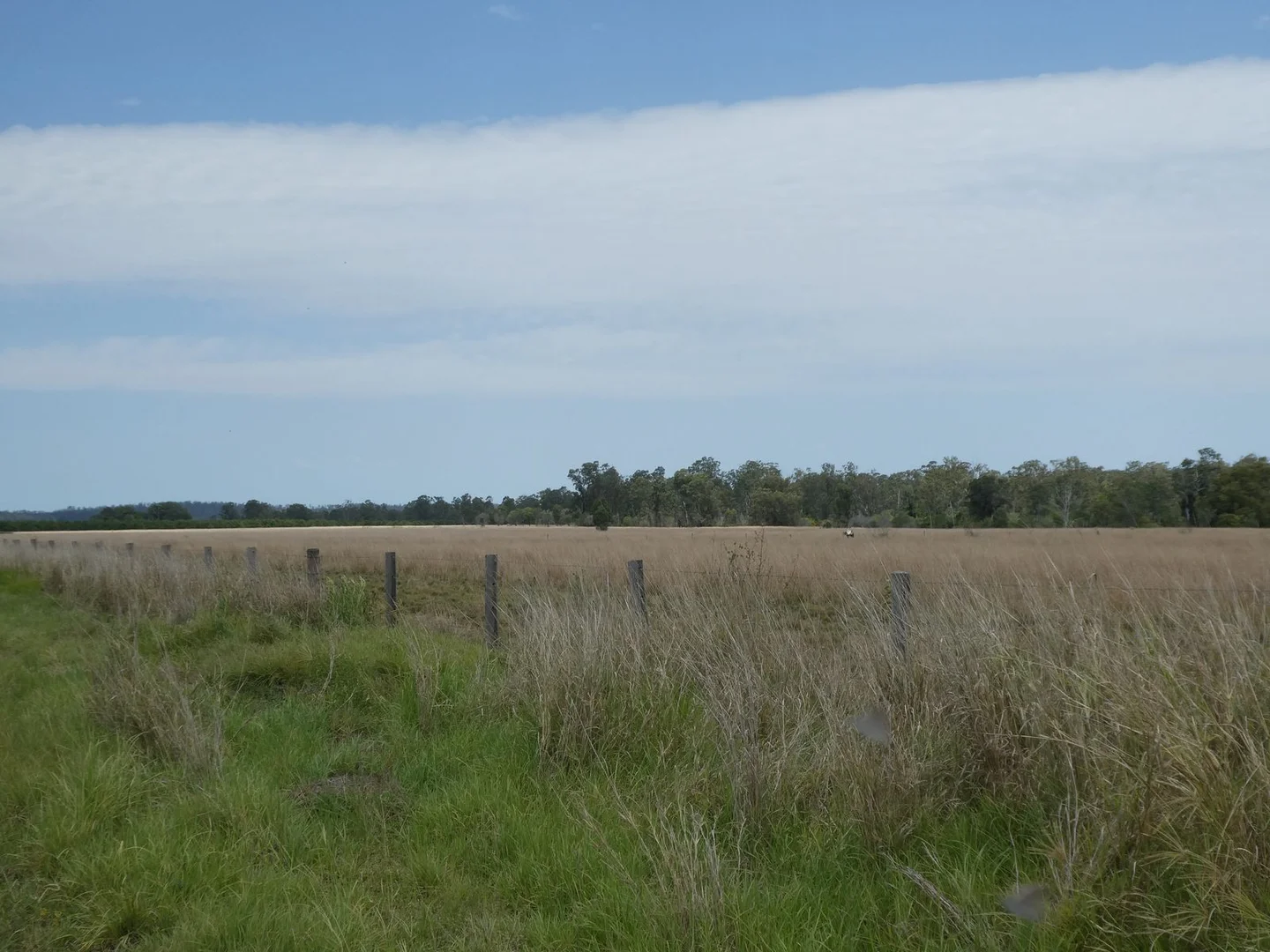 Additional image 5 of 35 Mahoneys Road, Bucca QLD 4670
