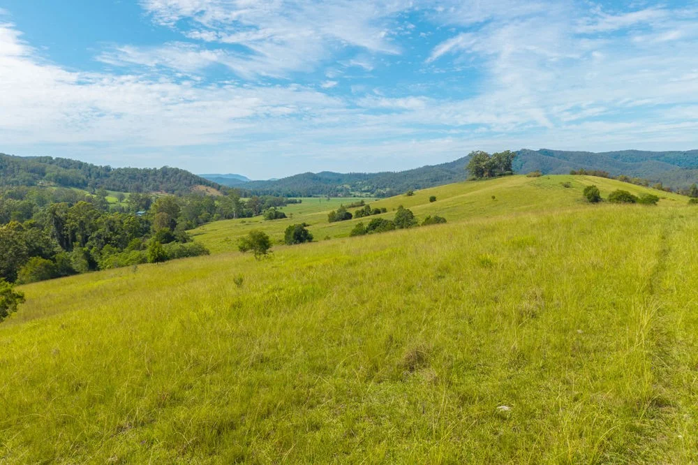 Additional image 4 of Lots 171 & 172 Calara Lane, Hollisdale NSW 2446