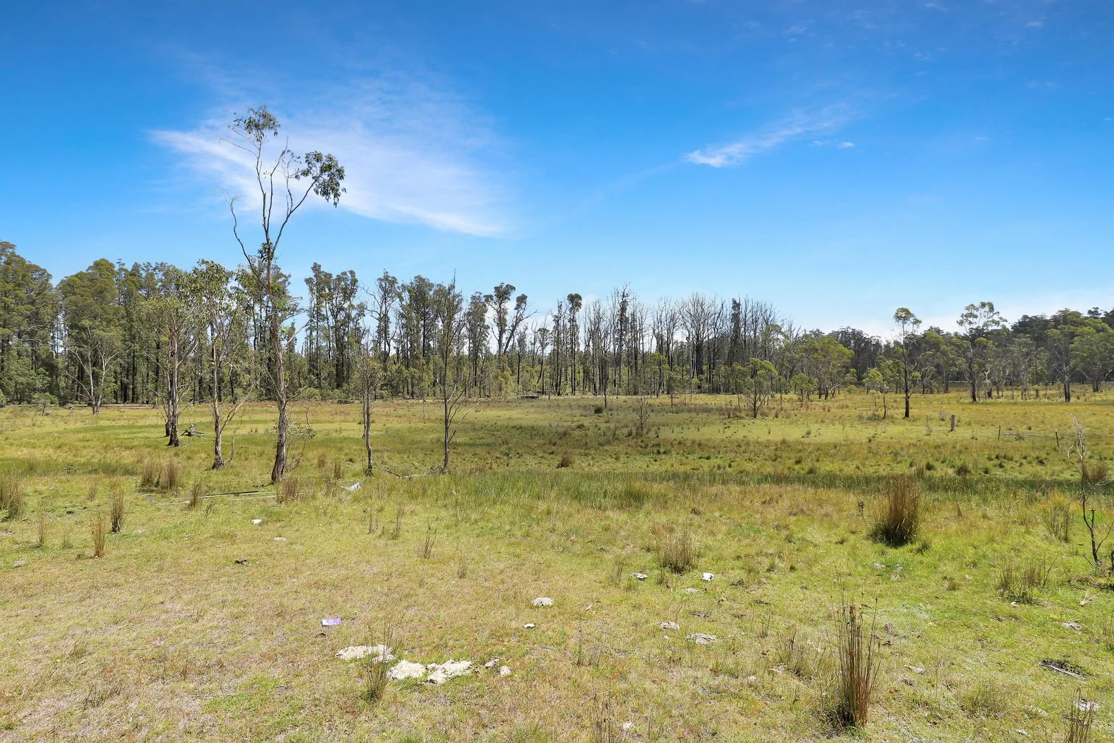Lot 51 Tantawangalo Mountain Road, Cathcart NSW 2632