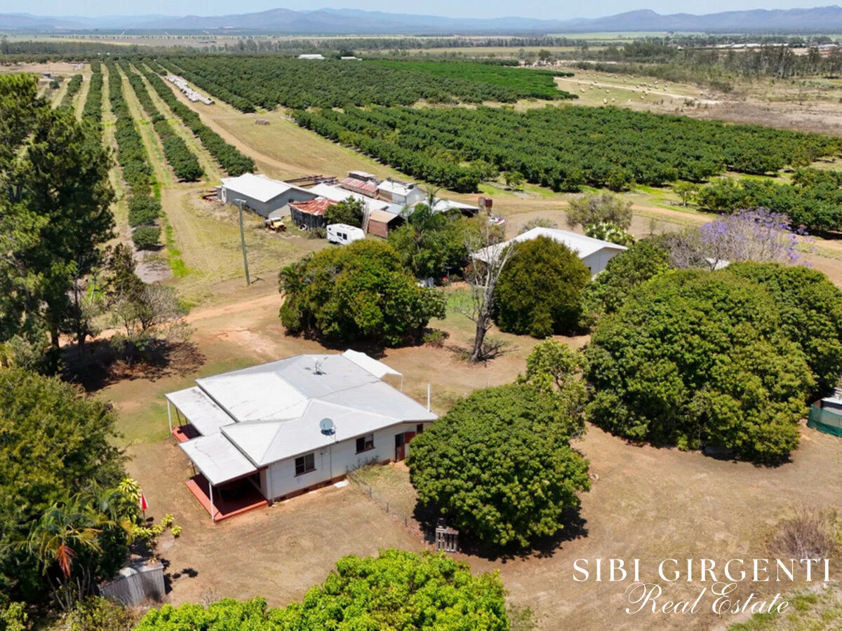 Additional image 43 of 1611 Mareeba-Dimbulah, Arriga QLD 4880