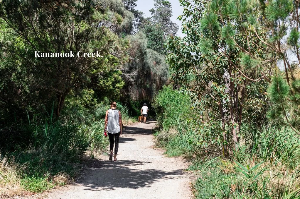 Additional image 14 of 6/56 Gould Street, Frankston VIC 3199