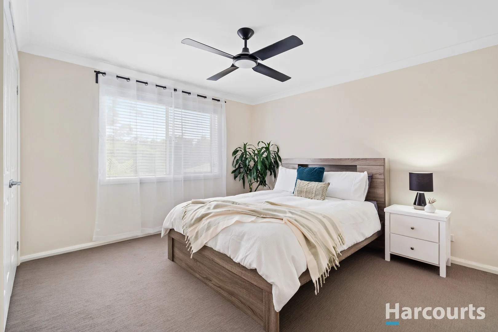 Additional image 13 of 38 Fitzwilliam Circuit, Macquarie Hills NSW 2285