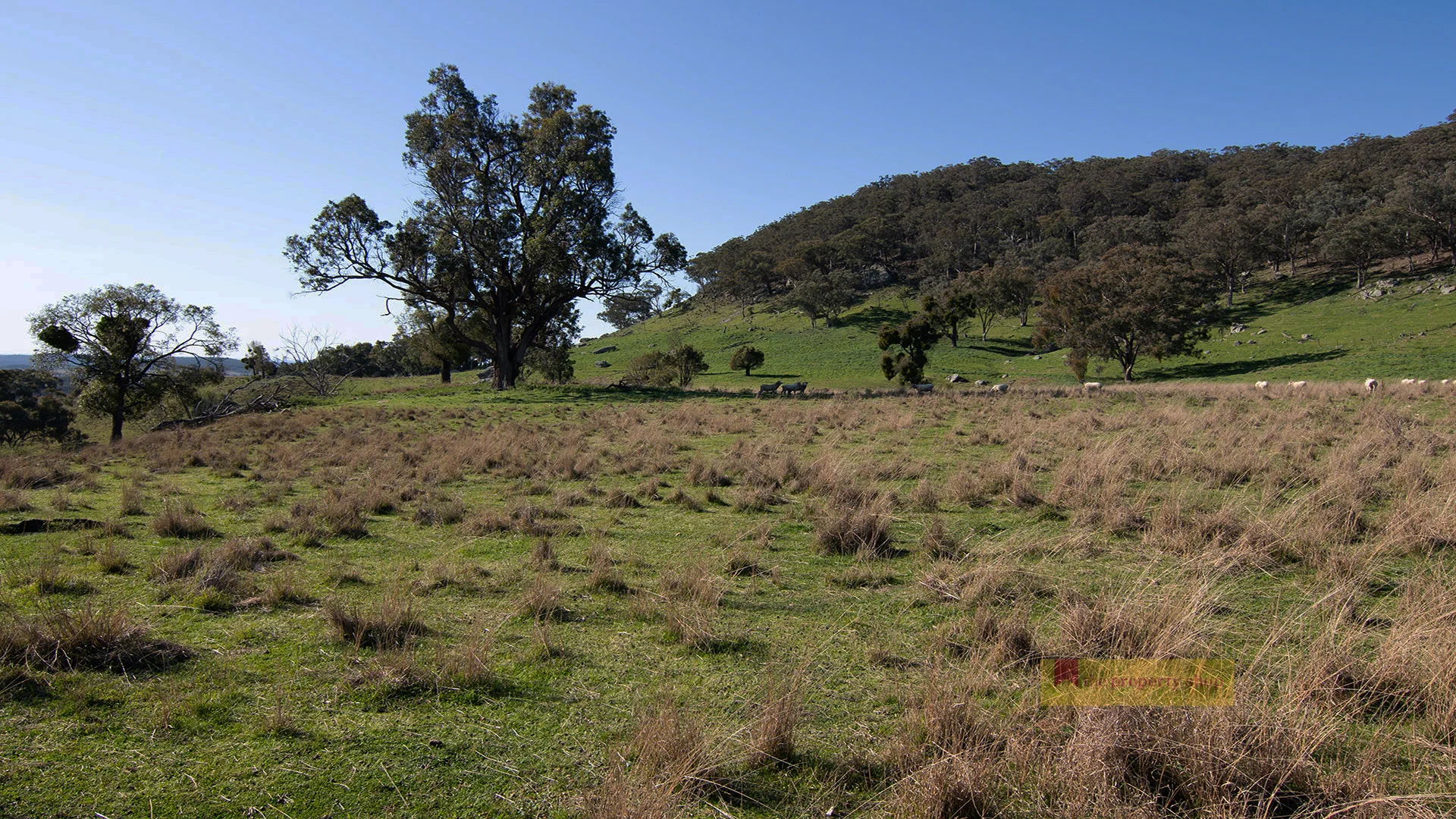 Additional image 23 of 2778 Ulan Road, Mudgee NSW 2850