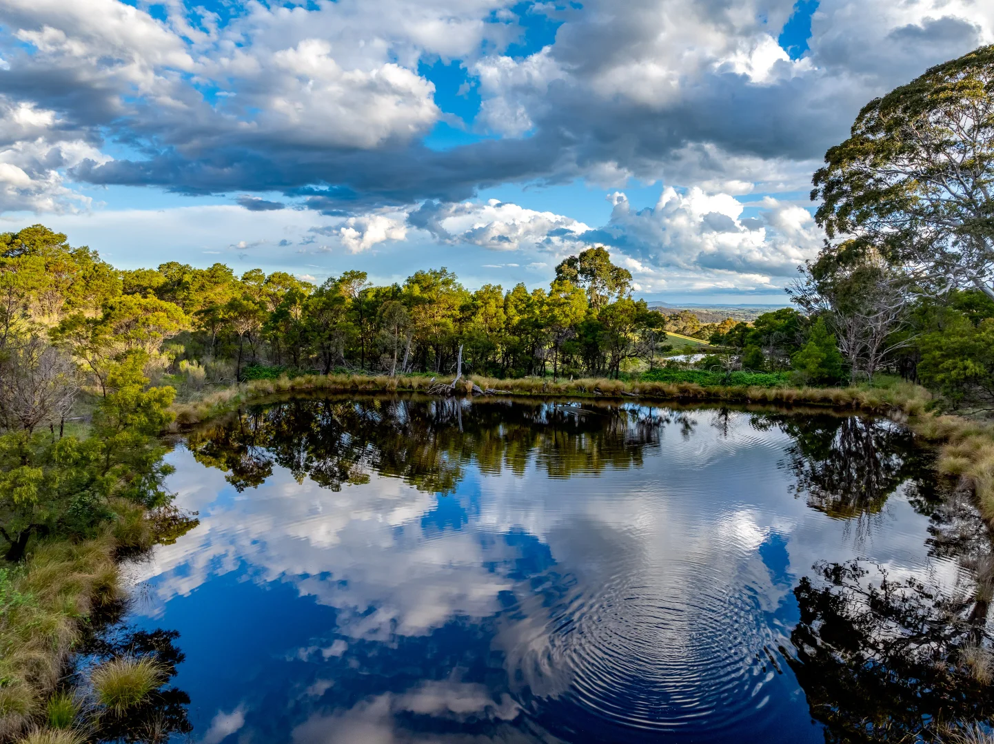 Additional image 4 of 1452 Crookwell Road, Goulburn NSW 2580