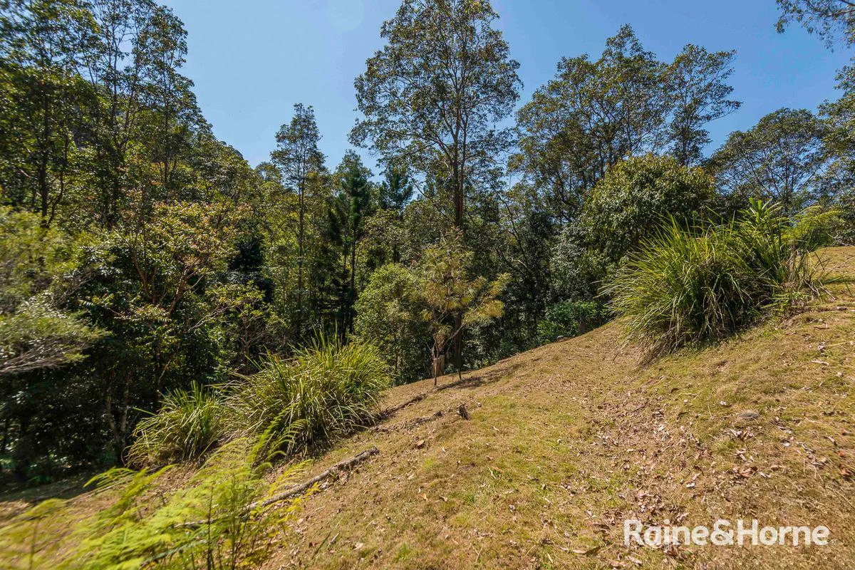 Additional image 19 of 7/321 Blackhorse Road, Eden Creek via, Kyogle NSW 2474
