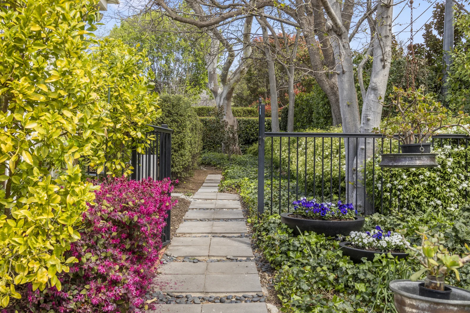 Additional image 24 of 70 National Circuit, Deakin ACT 2600