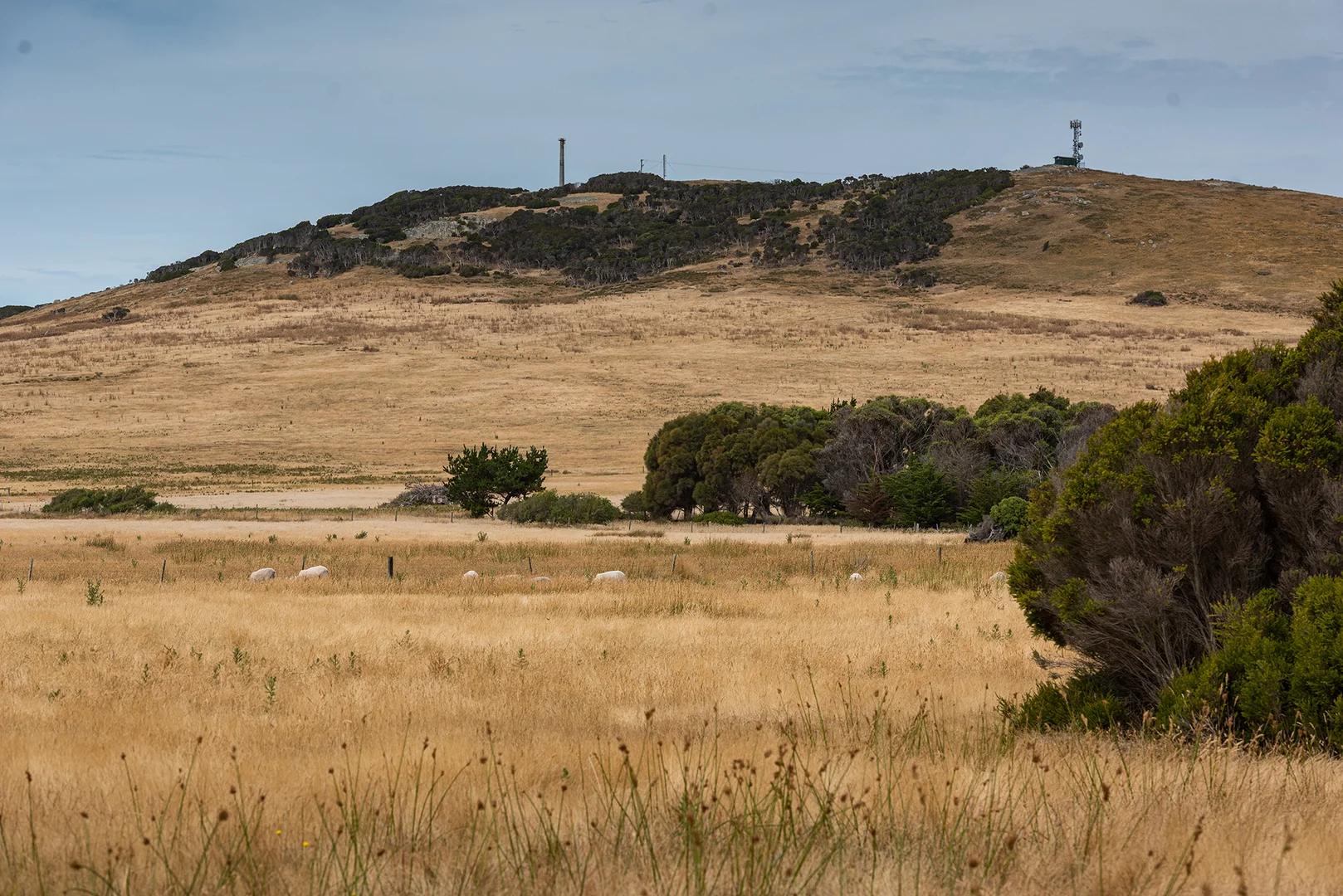 Additional image 11 of Lot 1, 22 Baileys Lane, Whitemark TAS 7255