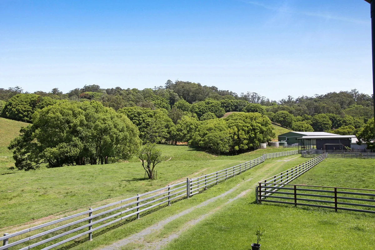 Additional image 13 of 1039 Currumbin Creek Road, Currumbin Valley QLD 4223