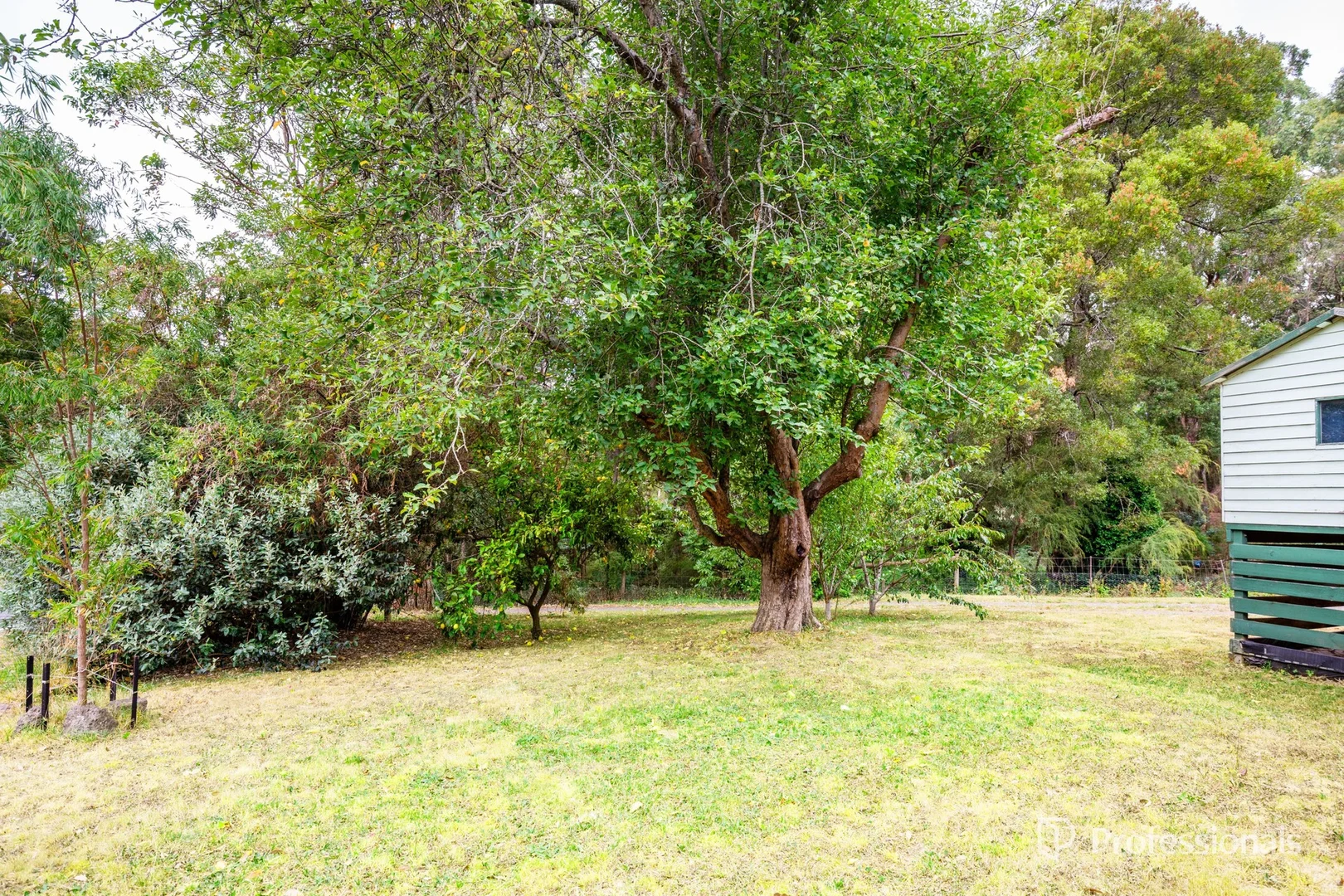 Additional image 23 of 492 Woods Point Road, East Warburton VIC 3799