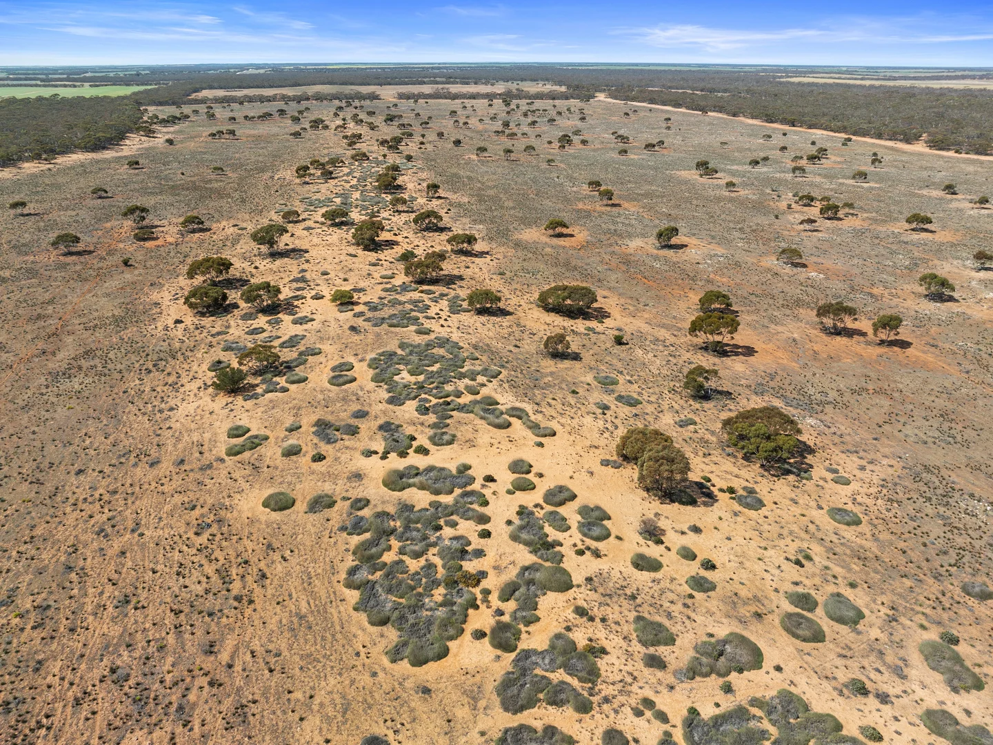 Additional image 17 of 1719 New Well Centre Road, New Well SA 5357