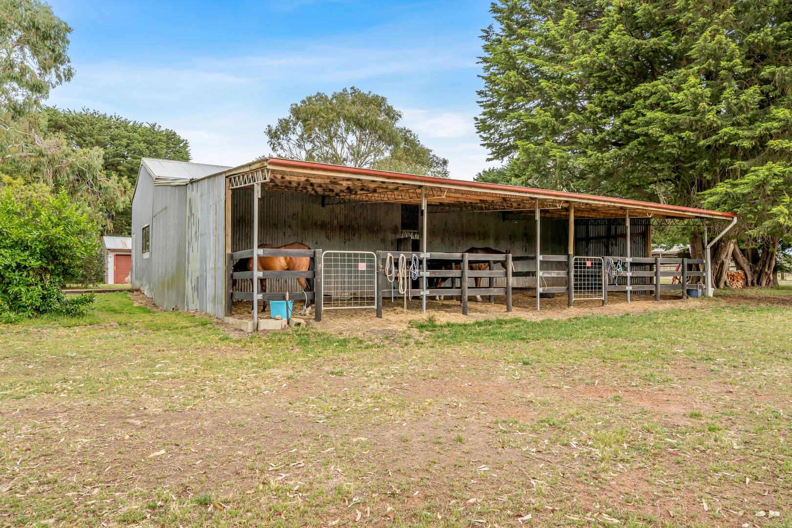Additional image 16 of 749 Coradjil Road, Simpson VIC 3266