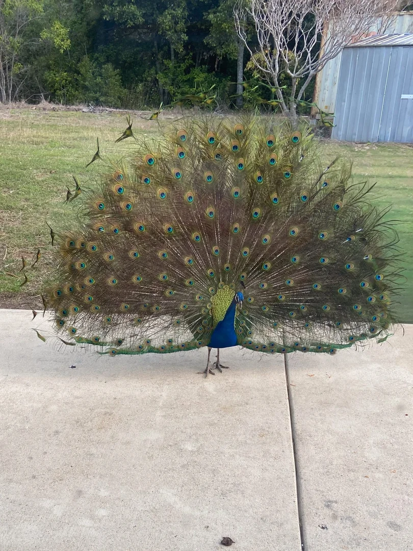 Additional image 26 of 182 Rafting Ground Road, Agnes Water QLD 4677