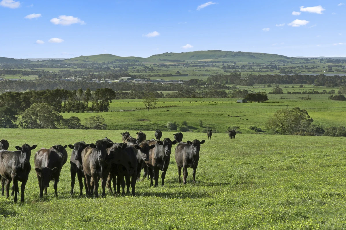 Additional image 8 of Christies Road, Elliminyt VIC 3250