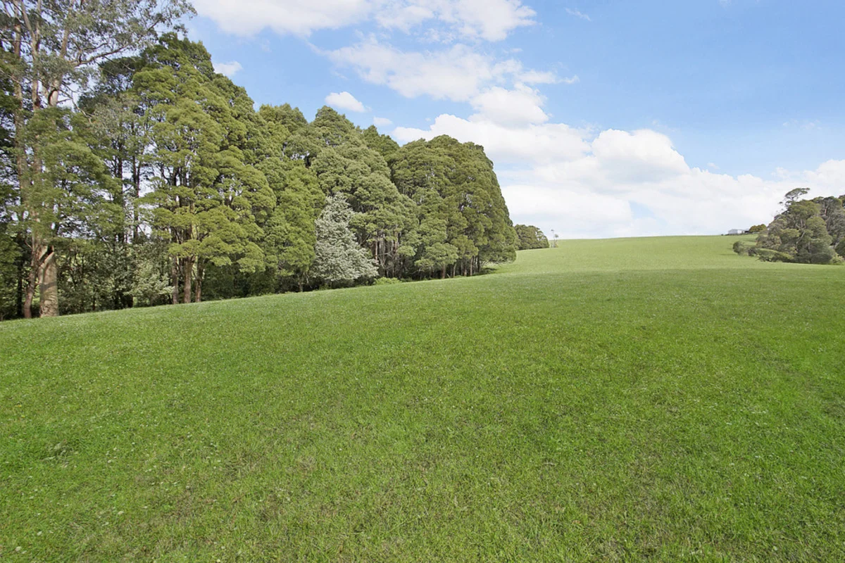 Additional image 34 of 4230 Colac-Lavers Hill Road, Weeaproinah VIC 3237