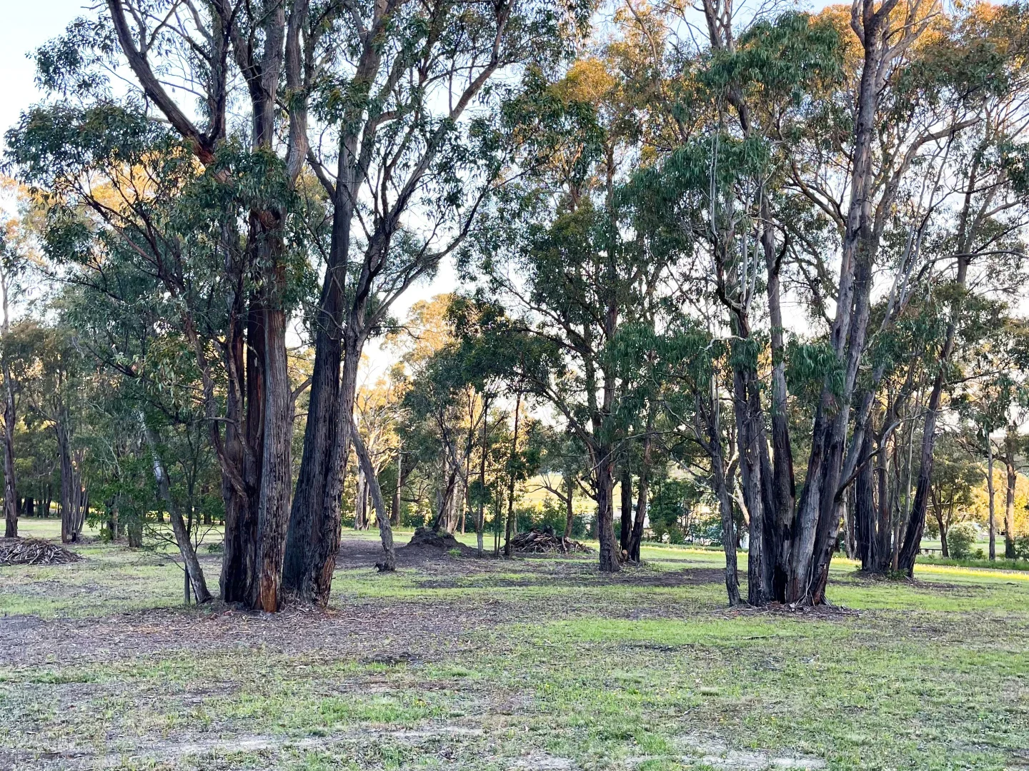 Additional image 5 of Lot 9 Coates Road, Snake Valley VIC 3351