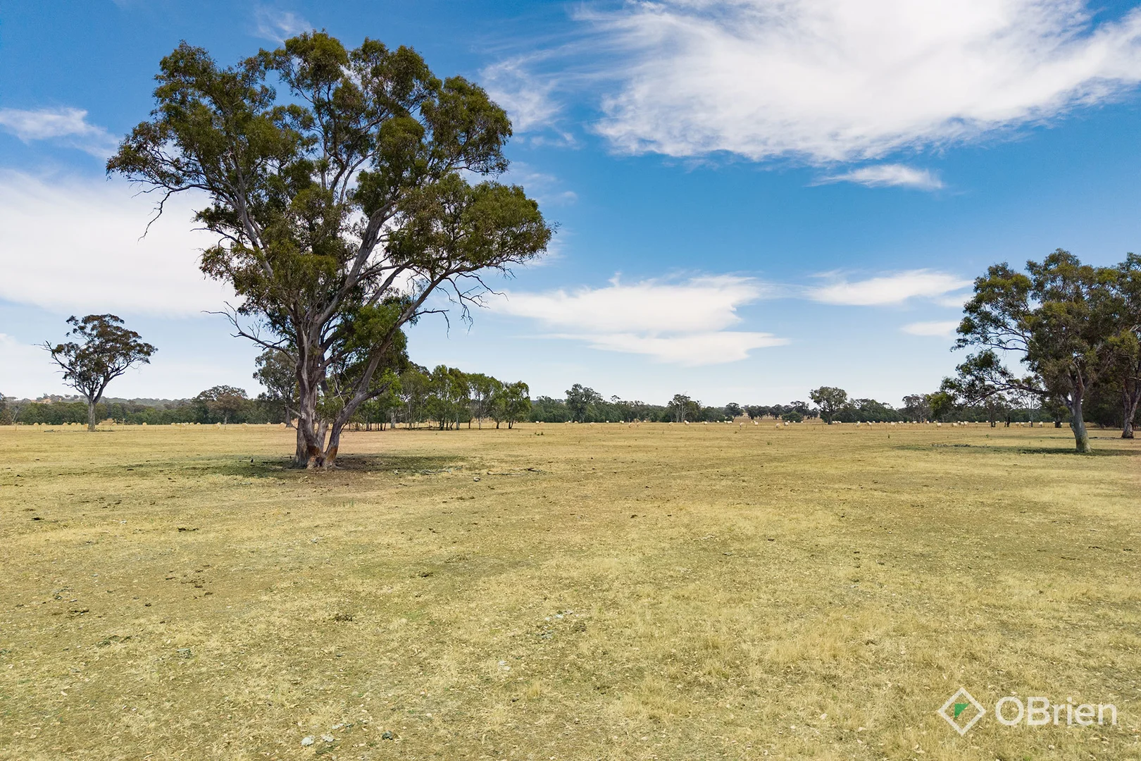 Additional image 10 of 134 Soldiers Road, Barnawartha VIC 3688