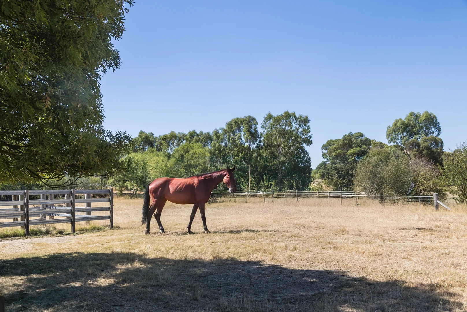 Additional image 16 of 323 Mt Buller Road, Mansfield VIC 3722