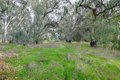 Additional image 19 of 3421 County Road 88C, Dunnigan, CA, 95937