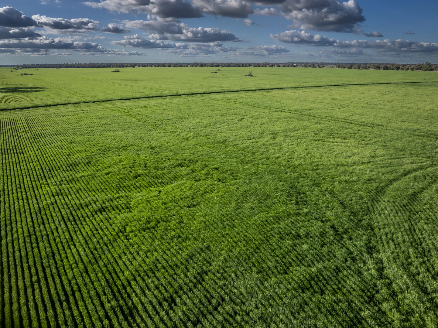 Additional image 10 of Bourbah 2598 Warren Road, Gulargambone NSW 2828