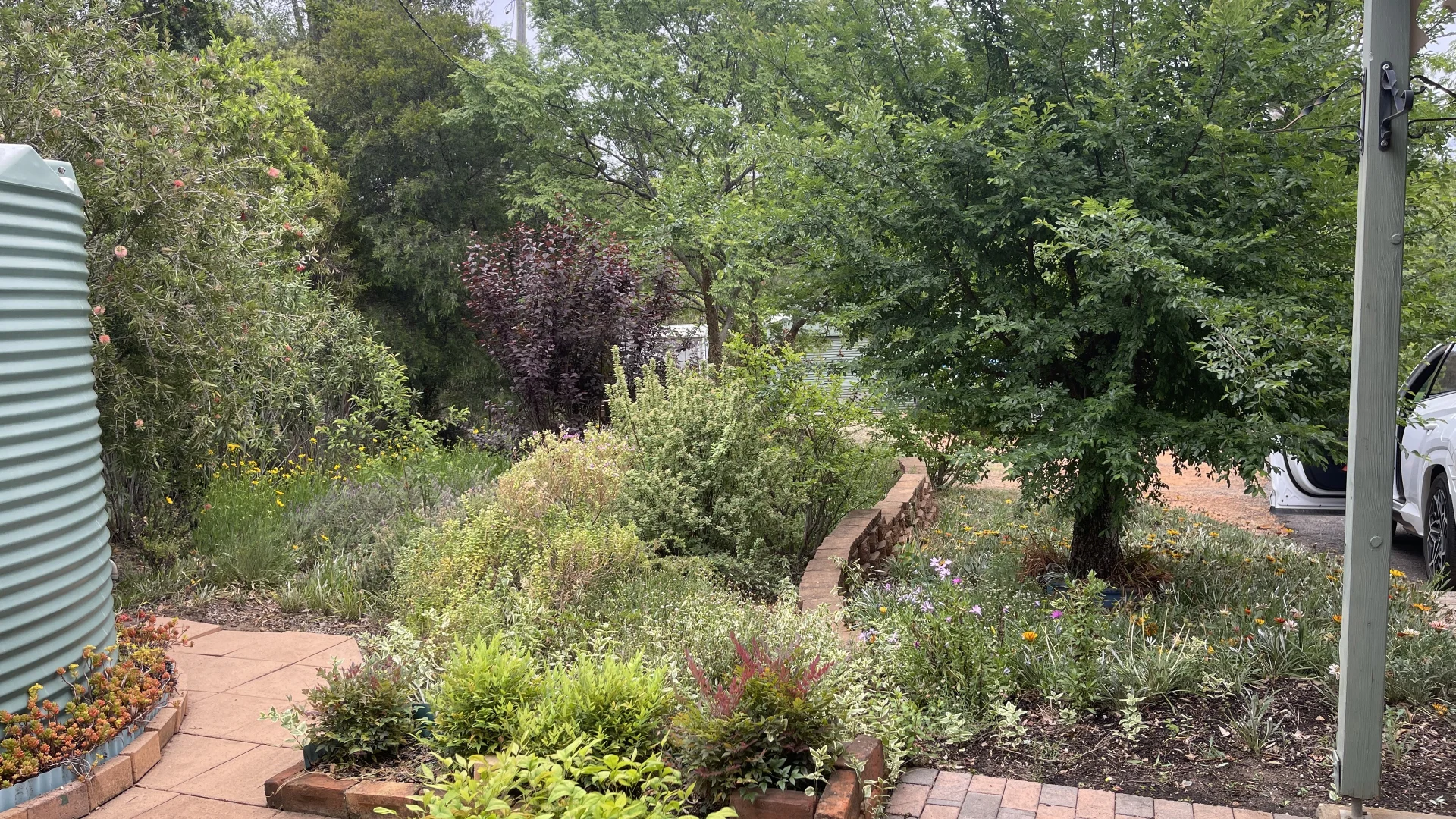 Additional image 24 of 77 Timor Road, Coonabarabran NSW 2357