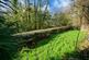 Additional image 16 of Spry Lane, Lifton