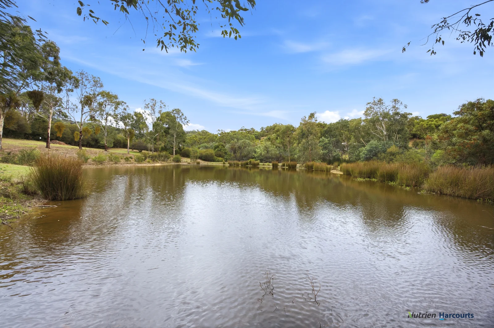 Additional image 21 of 72 Alford Avenue, Eildon VIC 3713