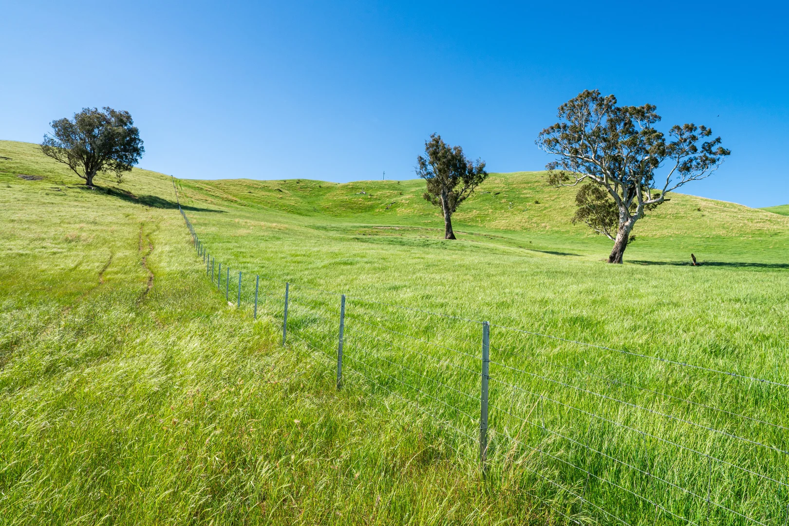 Additional image 22 of . Hore Road, Bowna NSW 2644