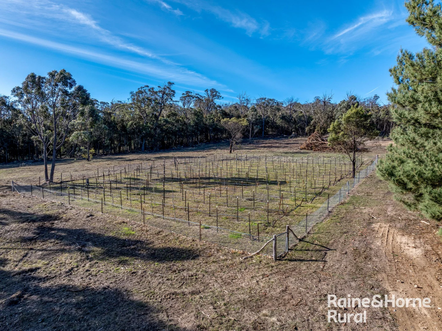 Additional image 27 of 122 Blakes Boulevard, Bungonia NSW 2580