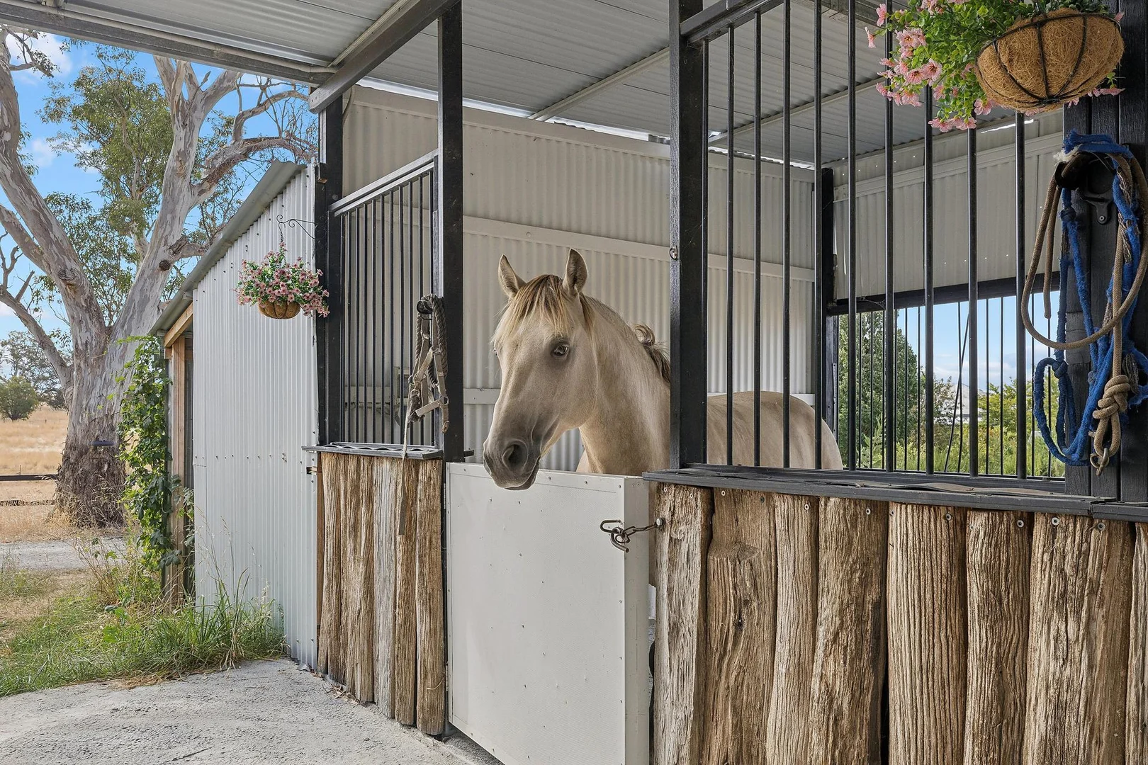 Additional image 23 of 683 Yass River Road, Yass River NSW 2582