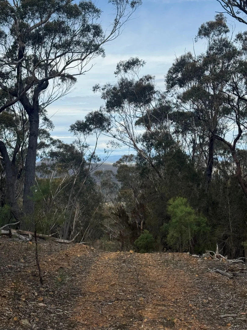 Additional image 9 of 274 Willow Glen Road, Lower Boro NSW 2580