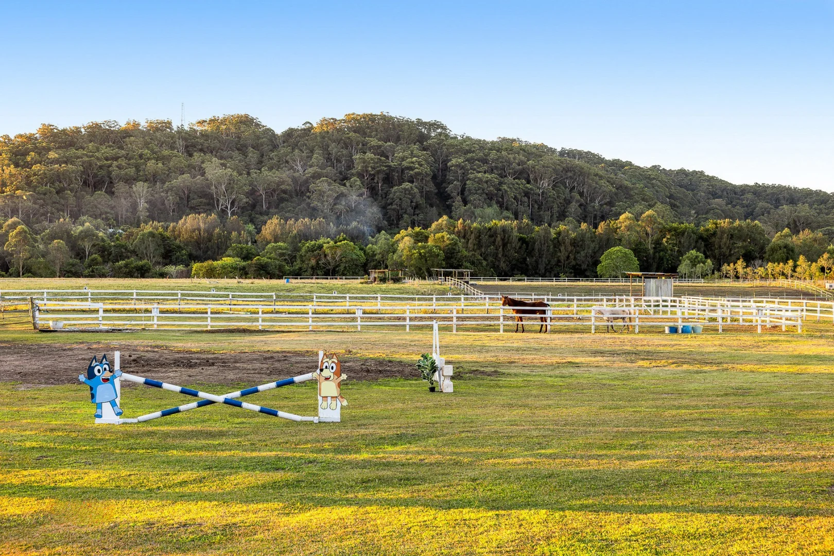 Additional image 20 of 163-187 Petrie Creek Road, Rosemount QLD 4560