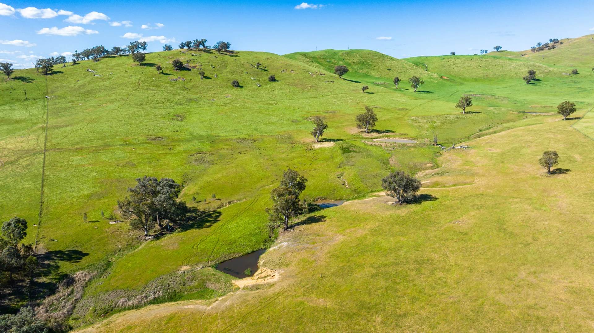 Additional image 17 of . Hore Road, Bowna NSW 2644