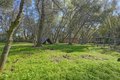 Additional image 43 of 4651 Pilot Creek Ln, Pilot Hill, CA, 95664