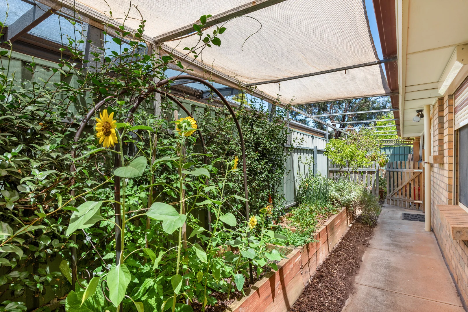 Additional image 23 of 19 Blakeview Boulevard, Blakeview SA 5114