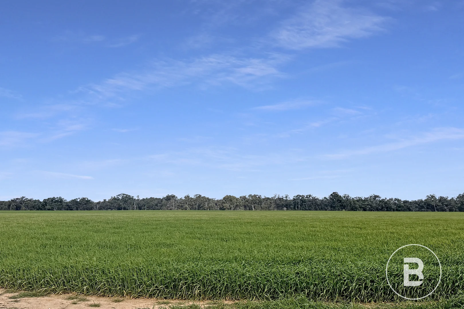 Additional image 3 of 174 Timor Bromley Road, Timor VIC 3465