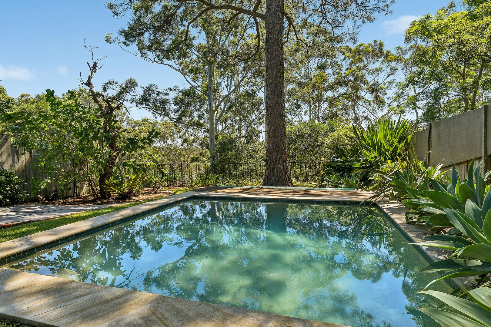 Additional image 8 of 211 Fullers Road, Chatswood NSW 2067