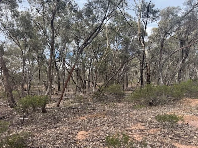 Additional image 2 of 6 Old Boort Road, Wedderburn VIC 3518