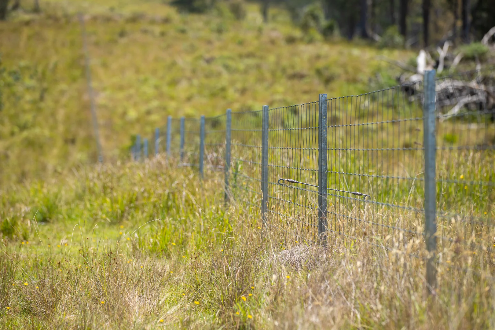 Additional image 17 of "Glen Bluff" 222 Riverview Road, Wards Mistake NSW 2350