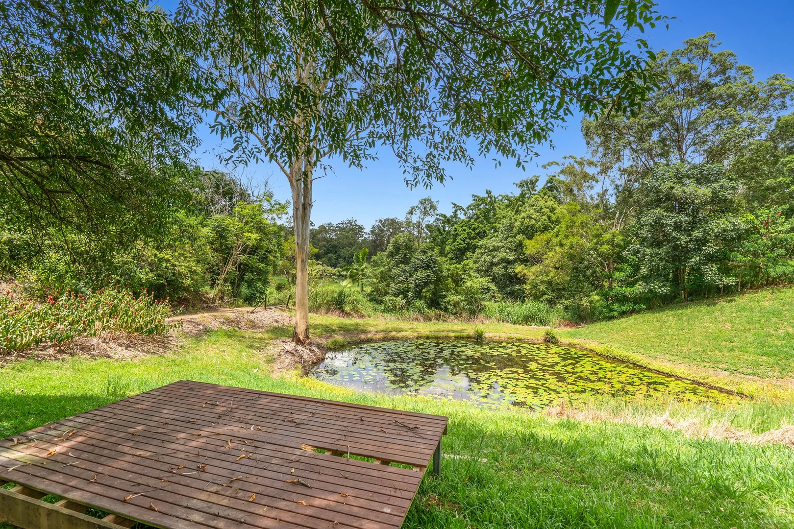 Additional image 25 of 319 Highlands Road, Eudlo QLD 4554