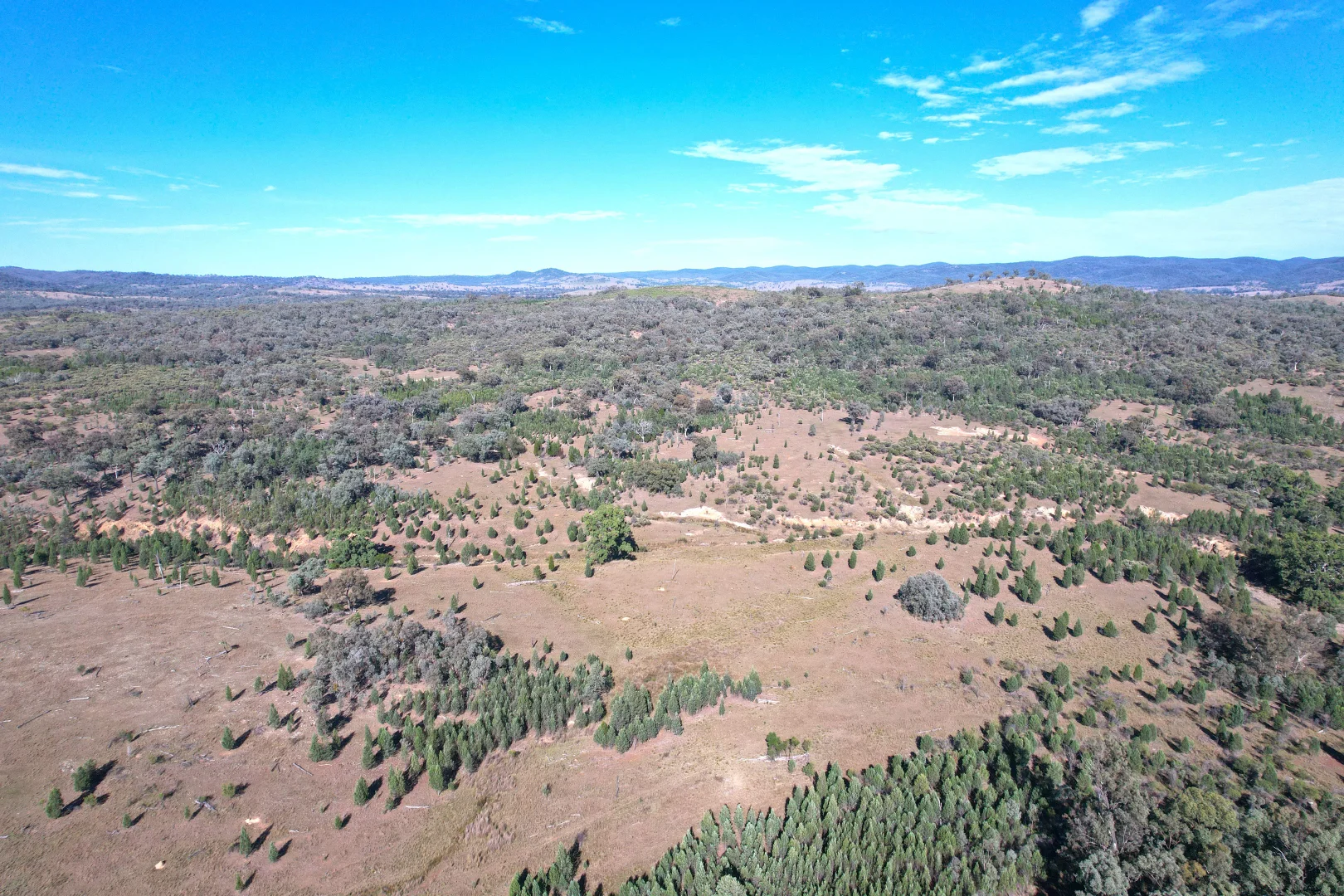 Additional image 16 of Hollybank Road, Inglewood QLD 4387