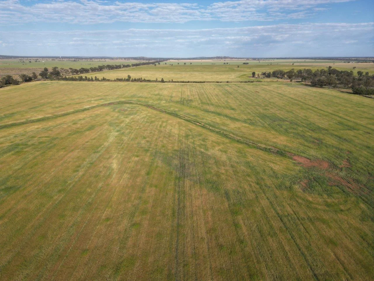 Additional image 10 of 'Cleveland' 548 Cunningtons Lane, West Wyalong NSW 2671