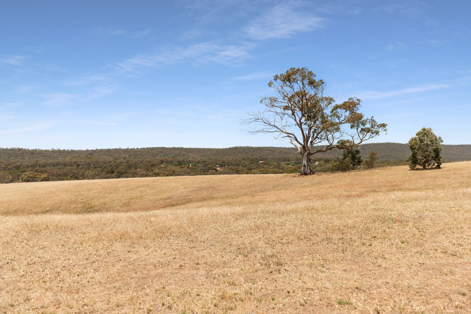 Additional image 16 of 58 Drummonds Lane, Heathcote VIC 3523