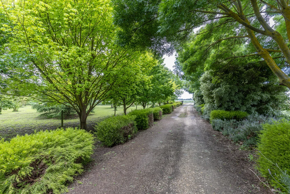 Additional image 21 of 915 Maffra-Briagolong Road, Boisdale VIC 3860