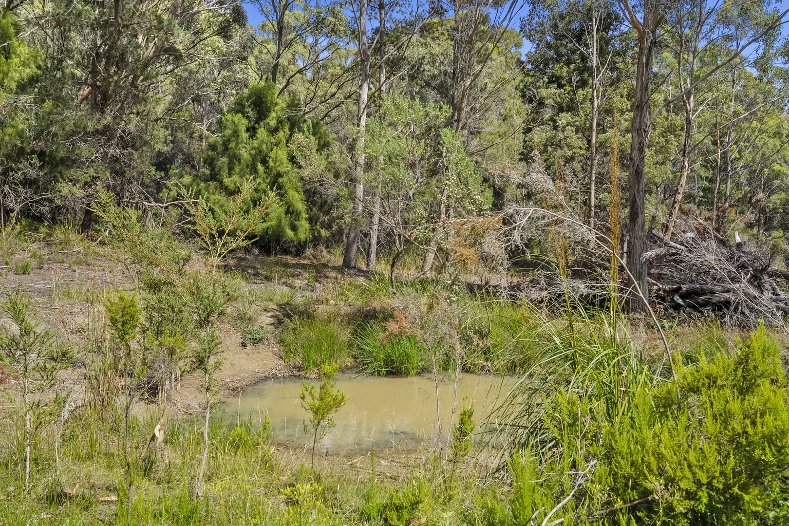 Additional image 6 of 12 Lillian Street, Taranna TAS 7180