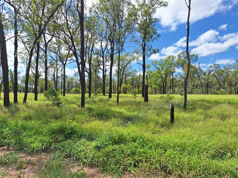 Additional image 20 of 6743 Dunrobin Road, Jericho QLD 4728