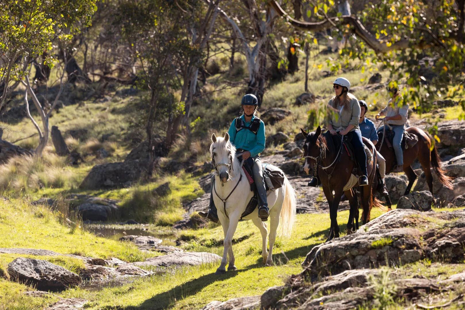Additional image 29 of Bondilla 1638 Alpine Way, Crackenback NSW 2627