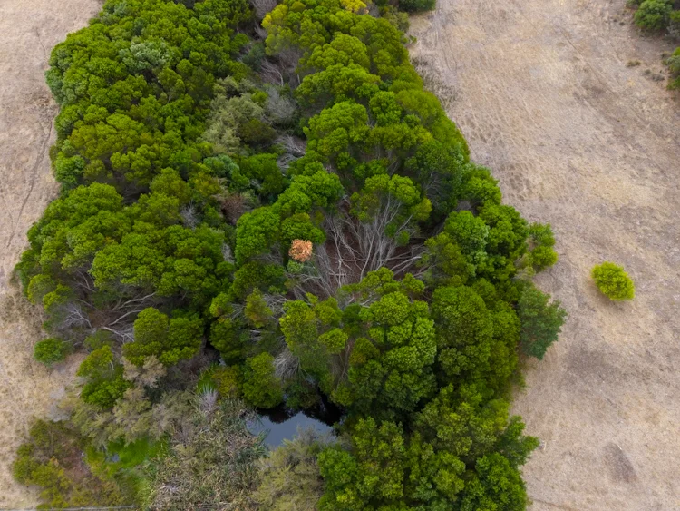 Additional image 12 of 582 Bluff Creek Road, Green Range WA 6328