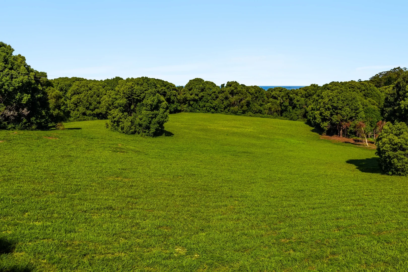 Additional image 7 of 217 Goonengerry Mill Road, Goonengerry NSW 2482